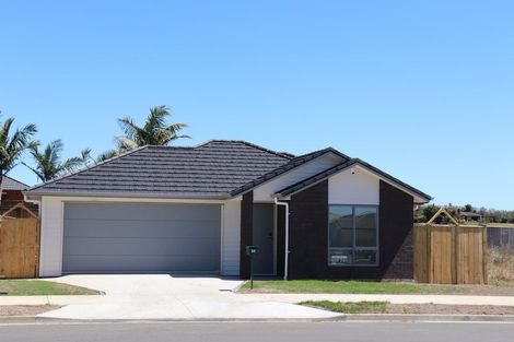 Photo of property in 35 Taepu Road, Pukekohe, 2120