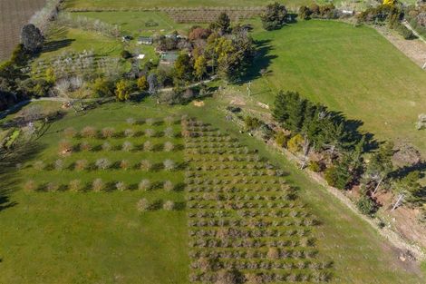 Photo of property in 195 Tyntesfield Road, Waihopai Valley, Blenheim, 7276