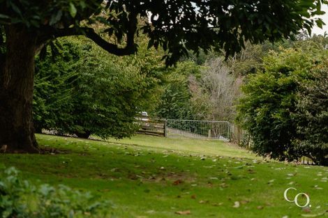 Photo of property in 47 Bell Street, Judea, Tauranga, 3110