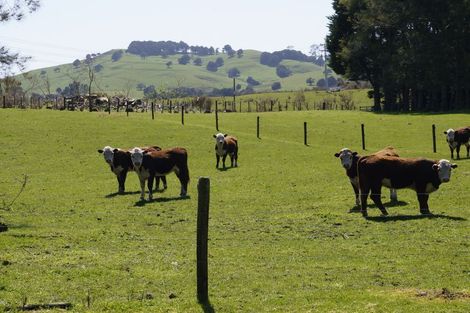 Photo of property in 92 Te Pua Road, Kaikohe, 0472