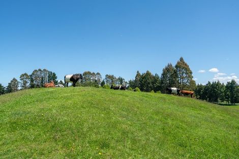 Photo of property in 483 Palmer Mill Road, Wairakei, Taupo, 3384