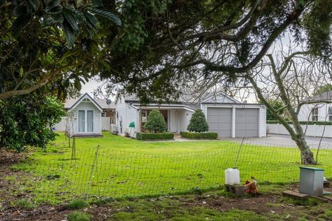 Photo of property in 31 Naylor Street, Hamilton East, Hamilton, 3216