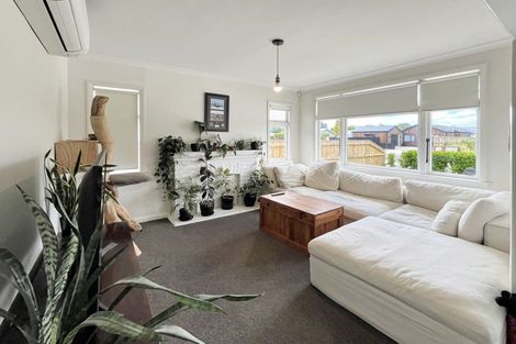 Photo of property in 20 Brightwater Terrace, Terrace End, Palmerston North, 4410