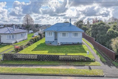 Photo of property in 46 Neal Street, Putaruru, 3411