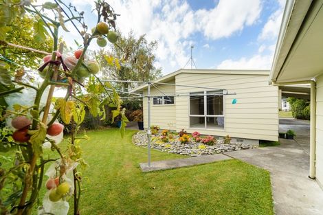 Photo of property in 6 Dunk Place, Milson, Palmerston North, 4414