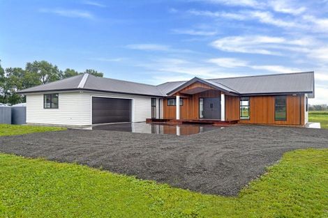 Photo of property in 584a Back Ormond Road, Makauri, 4071