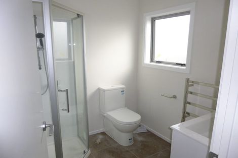 Photo of property in 29 Tennille Street, Flagstaff, Hamilton, 3210