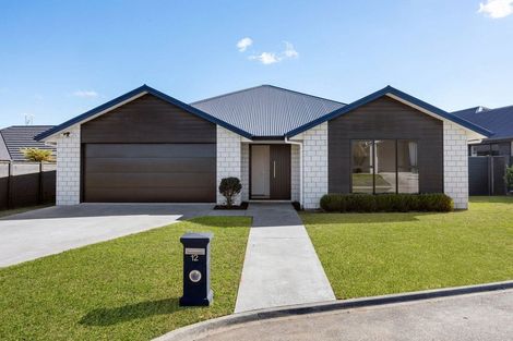 Photo of property in 12 Lewis Way, Cambridge, 3434