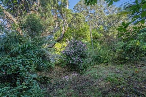 Photo of property in 113 Main Sh25 Road, Tairua, 3508
