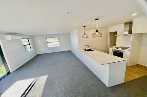 Photo of property in 33 Waiotahi Road, Kaiapoi, 7630