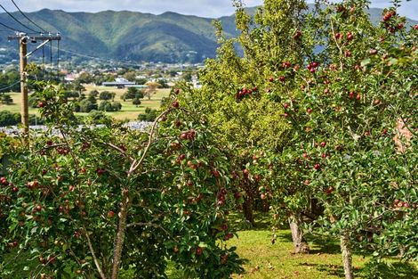 Photo of property in 19 Palm Grove, Belmont, Lower Hutt, 5010