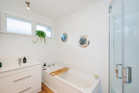 Photo of property in 382 Ruahine Street, Terrace End, Palmerston North, 4410