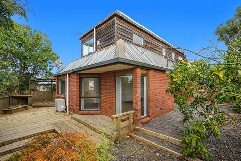 Photo of property in 49 Carey Street, Maeroa, Hamilton, 3200