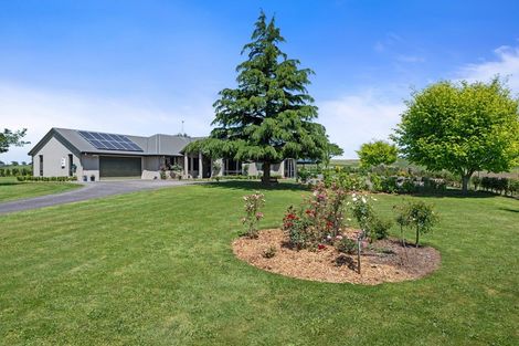 Photo of property in 1213 Tauwhare Road, Tauwhare, Hamilton, 3287