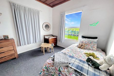 Photo of property in 119 Tuke Road, Waverley, 4592