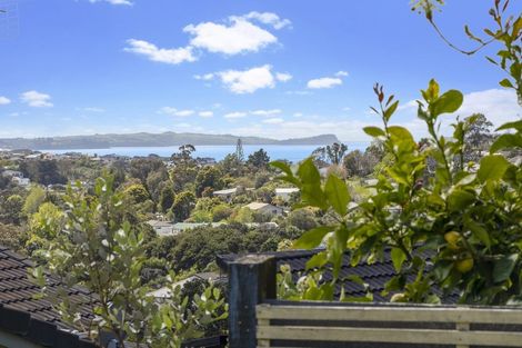 Photo of property in 36 Lingham Crescent, Torbay, Auckland, 0630