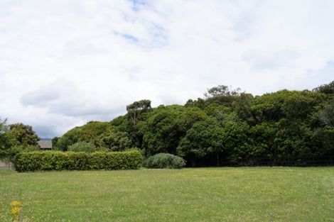 Photo of property in 17 Tararua Crescent, Otaki, 5512