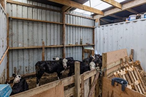 Photo of property in 1106 Puketotara Road, Okaihau, 0295