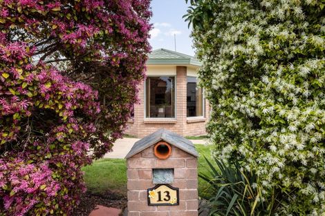 Photo of property in 13 Arcadia Lane, Havelock North, 4130