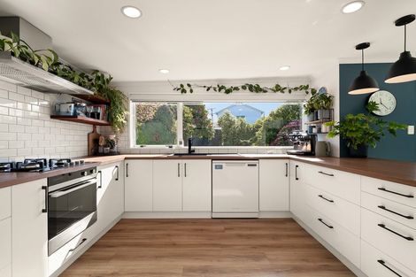 Photo of property in 215 Elgin Road, Balaclava, Dunedin, 9011