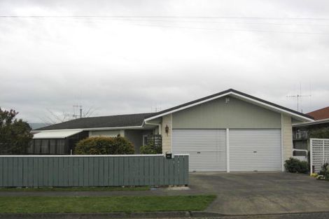 Photo of property in 58 Salisbury Street, Levin, 5510