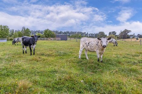 Photo of property in 168 Pembertons Road, Sefton, Rangiora, 7477