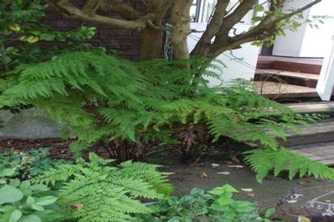 Photo of property in 24 Mary Street, Te Kuiti, 3910