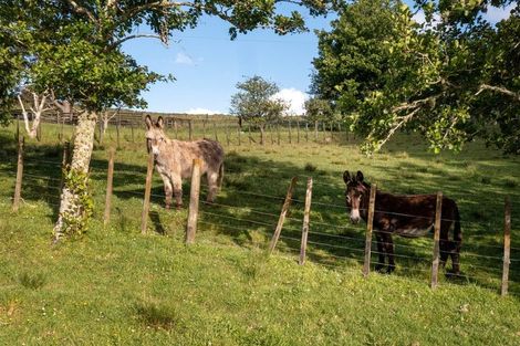 Photo of property in 224 Richards Road, Dairy Flat, Albany, 0794