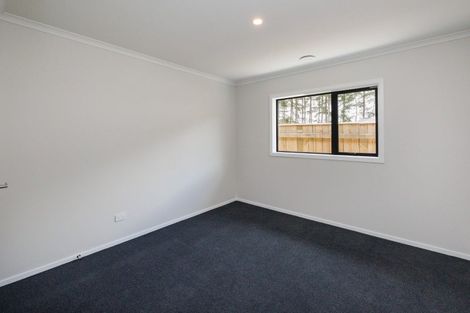 Photo of property in 53 Hereford Street, Marton, 4710