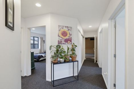Photo of property in 44 Nixon Street, Tinwald, Ashburton, 7700