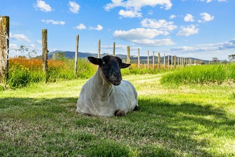 Photo of property in 121 Nova Scotia Drive, Waipu, 0582