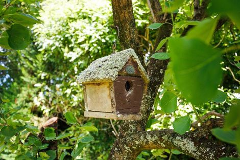 Photo of property in 1498 Napier Road, Ashhurst, 4810