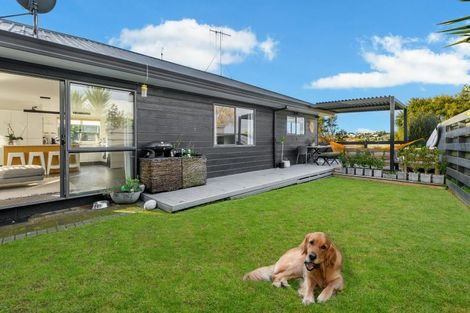 Photo of property in 10a College Place, Poike, Tauranga, 3112