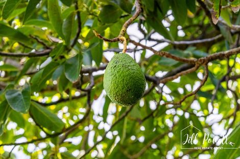 Photo of property in 13 Moana Road, Tinopai, 0593