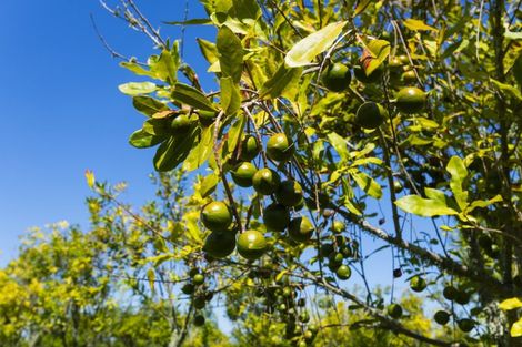 Photo of property in 136a Main Road, Makaraka, Gisborne, 4010