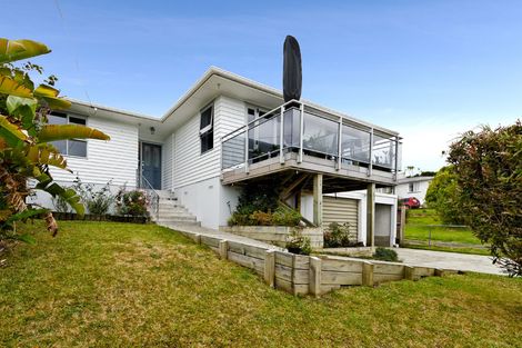 Photo of property in 53 Ellis Avenue, Mount Roskill, Auckland, 1041