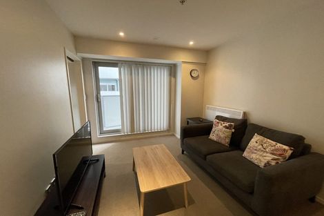 Photo of property in Soho Apartments, 212/74 Taranaki Street, Te Aro, Wellington, 6011