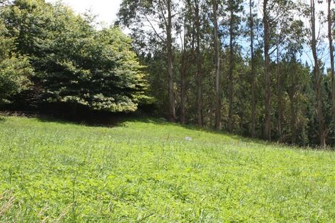 Photo of property in 303 Arthur Road, Te Pahu, Hamilton, 3285