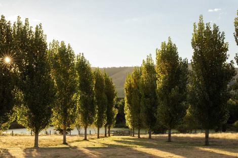 Photo of property in 918 Ponatahi Road, Martinborough, Carterton, 5792