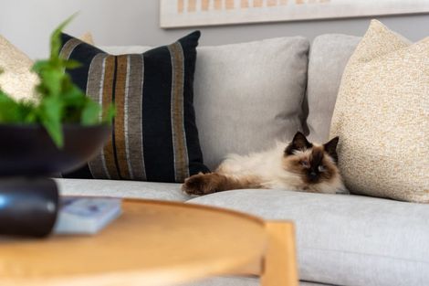 Photo of property in 1/5 Nelson Avenue, Northcote Point, Auckland, 0627