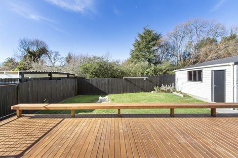 Photo of property in 45 Exeter Street, Glenview, Hamilton, 3206