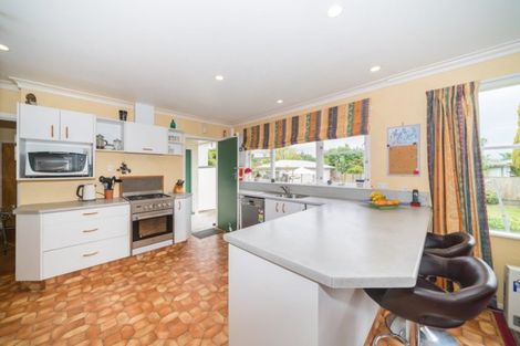 Photo of property in 446 Ruahine Street, Terrace End, Palmerston North, 4410