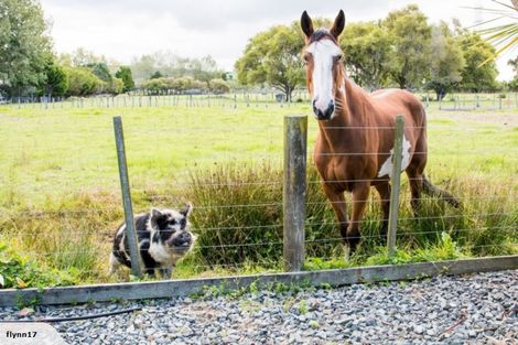Photo of property in 75 Marsden Point Road, Ruakaka, 0116