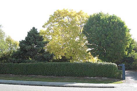 Photo of property in 88 Shearman Street, Waimate, 7924