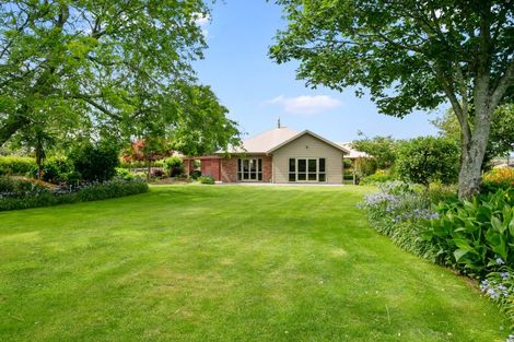 Photo of property in 165 Buckland Road, Matamata, 3472