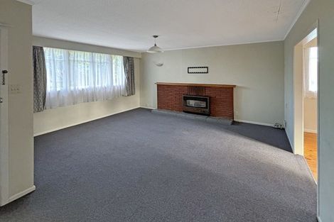 Photo of property in 228 Balmoral Drive, Tokoroa, 3420