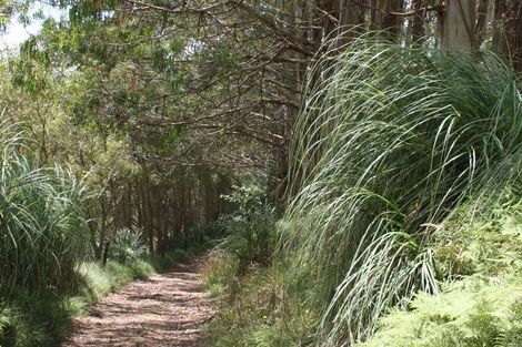 Photo of property in 303 Arthur Road, Te Pahu, Hamilton, 3285