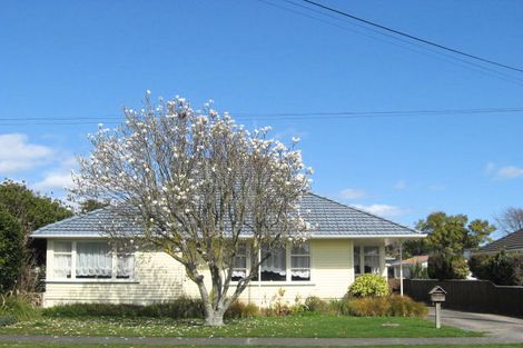 Photo of property in 38 Dorset Street, Levin, 5510