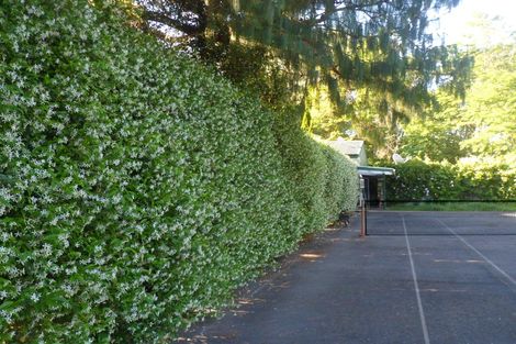 Photo of property in 46 Ruapapa Road, Frasertown, Wairoa, 4195