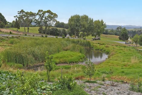 Photo of property in 3 Pavel Place, Kaiwaka, 0573